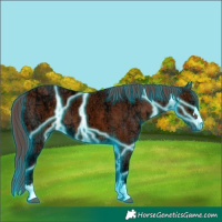 Horse Color:Thunderstruck Chocolate Bay Ice 