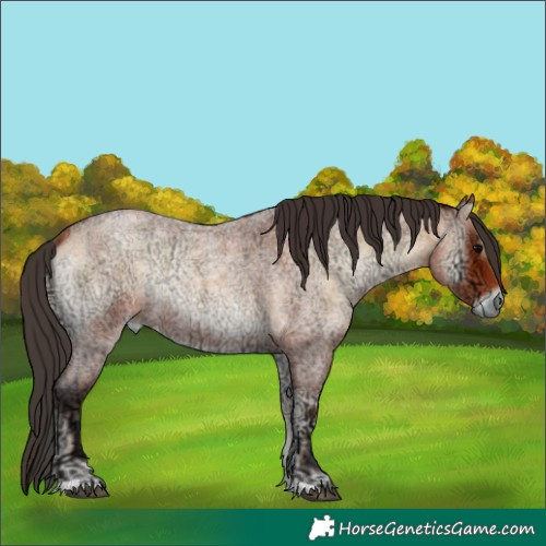 Horse Color:Bay Ice Roan Onyx 