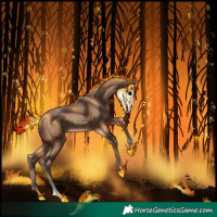 Horse Color:Sable Champagne 