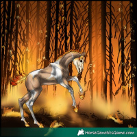 Horse Color:Amber Champagne Tobiano