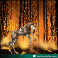 Horse Color:Classic Champagne Tobiano