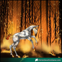 Horse Color:Amber Champagne Tobiano Leopard 