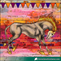 Horse Color:Amber Champagne Appaloosa 