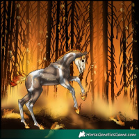 Horse Color:Classic Champagne Tobiano Appaloosa 