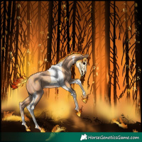 Horse Color:Gold Champagne Tobiano