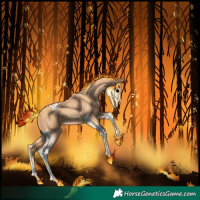 Horse Color:Gold Champagne Tobiano Appaloosa 