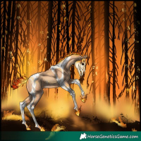 Horse Color:Gold Champagne Tobiano 
