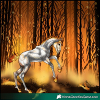 Horse Color:Gold Champagne Tobiano Appaloosa 