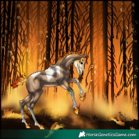 Horse Color:Sable Champagne Tobiano 