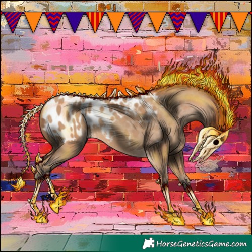 Horse Color:Amber Champagne Appaloosa 