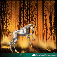 Horse Color:Gold Champagne Tobiano
