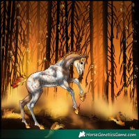 Horse Color:Gold Champagne Tobiano Appaloosa 