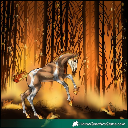 Horse Color:Chestnut Tobiano