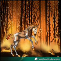 Horse Color:Chestnut Tobiano 