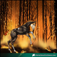 Horse Color:Liver Chestnut Tobiano 