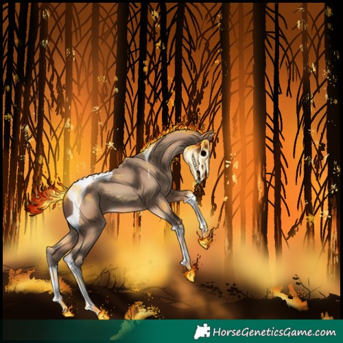 Horse Color:Amber Champagne Tobiano 