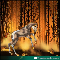 Horse Color:Amber Champagne Tobiano