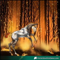 Horse Color:Classic Champagne Appaloosa 