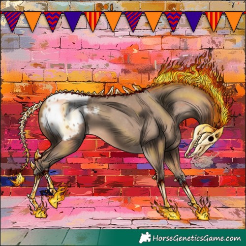 Horse Color:Amber Champagne Appaloosa 