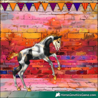 Horse Color:Black Tobiano 