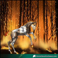 Horse Color:Classic Champagne Tobiano 