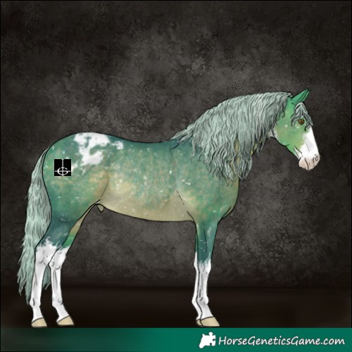 Horse Color:Watercolor White Spotted Silver Buckskin Snowflake Varnish Rabicano 