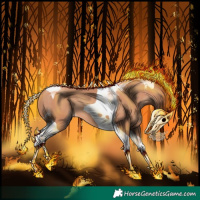 Horse Color:Gold Champagne Tobiano