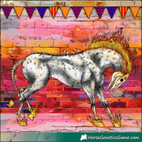 Horse Color:Black Appaloosa
