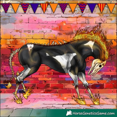 Horse Color:Black Tobiano 
