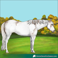 Horse Color:White Spotted Silver Blue Roan Splash Frame 