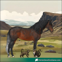 Horse Color:Brown Tobiano Rabicano