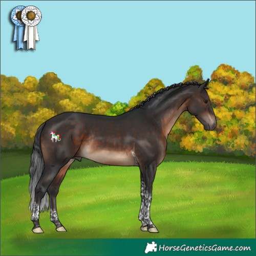 Horse Color:Brown Tobiano Rabicano 
