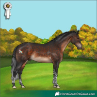 Horse Color:Brown Tobiano Rabicano 
