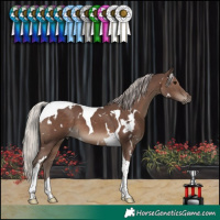 Horse Color:White Spotted Silver Black Tobiano 