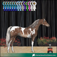 Horse Color:White Spotted Silver Black Tobiano 