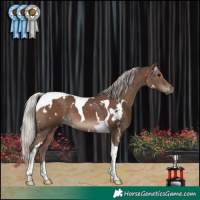 Horse Color:White Spotted Silver Black Tobiano 