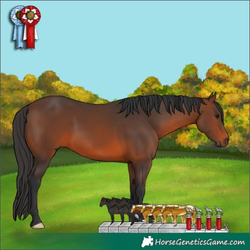 Horse Color:Brown 