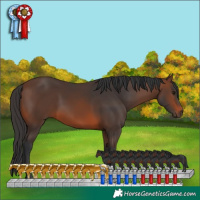 Horse Color:Brown 