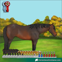 Horse Color:Brown 