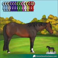 Horse Color:Brown 