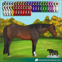Horse Color:Brown 
