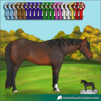 Horse Color:Brown 