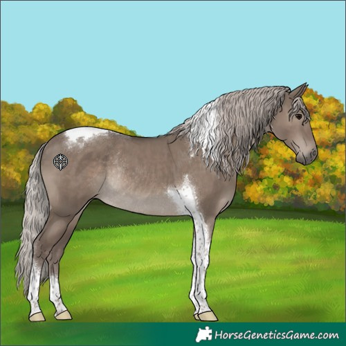 Horse Color:Silver Grullo Tobiano Rabicano 
