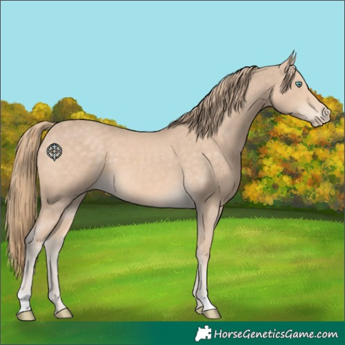 Horse Color:Perlino 