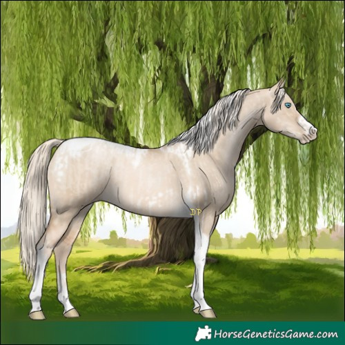 Horse Color:Chocolate Palomino Pearl Dun Tobiano Frame and Chocolate Palomino Pearl Dun Splash Tobiano Frame