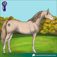 Horse Color:Perlino 