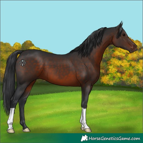 Horse Color:Brown 