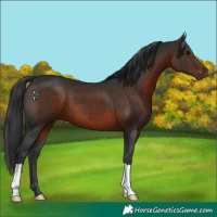 Horse Color:Brown 