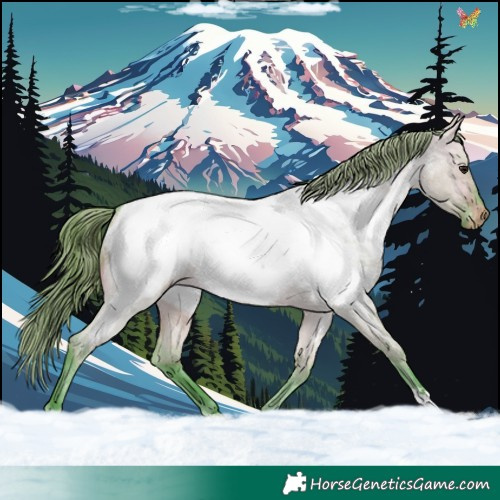 Horse Color:Watercolor Brown Roan Dun Appaloosa 