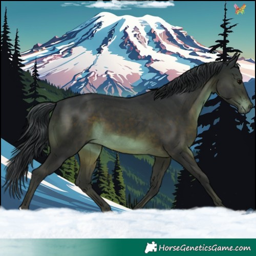 Horse Color:Brown 